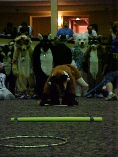 0501.jpg