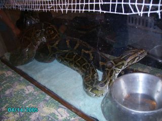 PICT0035.jpg