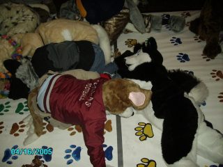 PICT0108.jpg