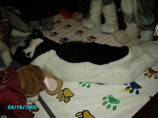 PICT0109.jpg