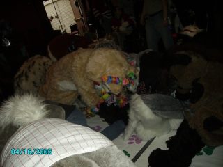 PICT0115.jpg