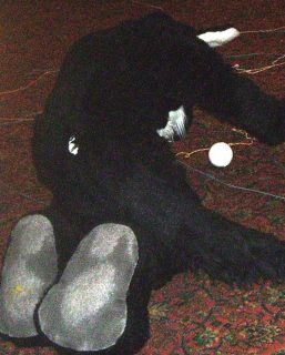 PICT0178.jpg
