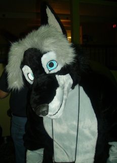 ZEPH_041.jpg