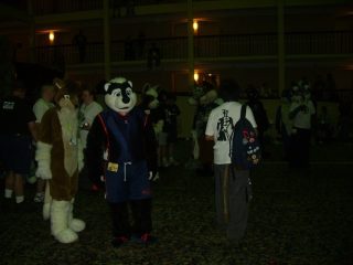 ZEPH_042.jpg
