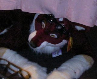 SANY0300.jpg