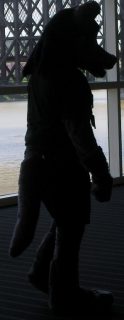 SANY0502.jpg