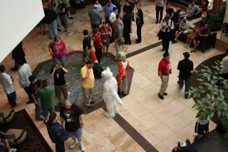 IMG_6910.jpg