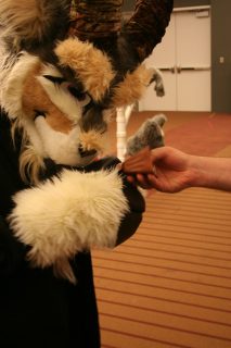 IMG_7947.jpg