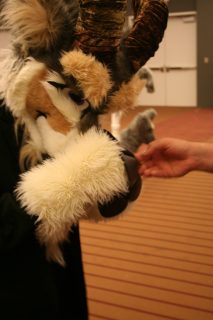 IMG_7949.jpg