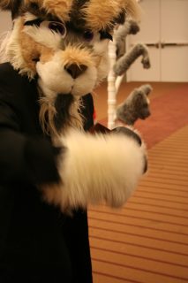 IMG_7951.jpg