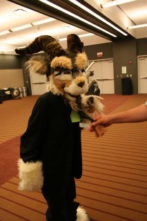 IMG_7958.jpg
