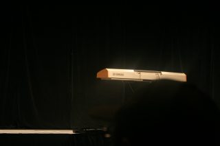 IMG_8017.jpg