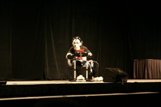 IMG_8155.jpg