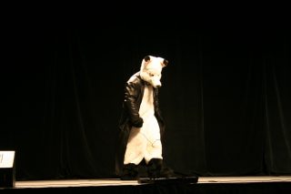 IMG_8212.jpg