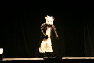 IMG_8213.jpg