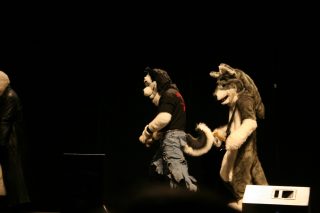 IMG_8224.jpg