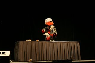 IMG_8243.jpg