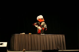 IMG_8244.jpg