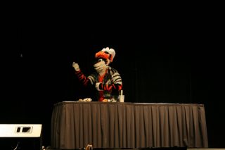 IMG_8245.jpg