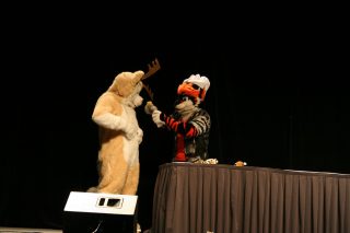 IMG_8248.jpg