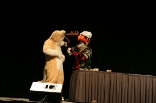IMG_8249.jpg