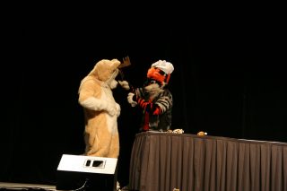 IMG_8250.jpg