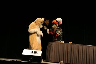 IMG_8252.jpg