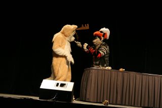 IMG_8253.jpg