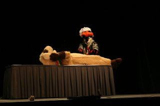 IMG_8285.jpg