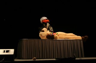 IMG_8290.jpg