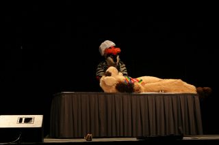 IMG_8291.jpg