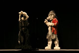 IMG_8411.jpg