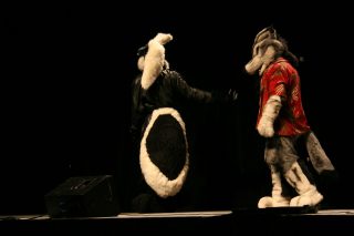 IMG_8429.jpg