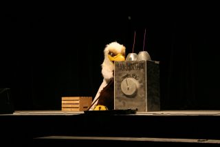 IMG_8457.jpg