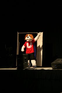 IMG_8503.jpg