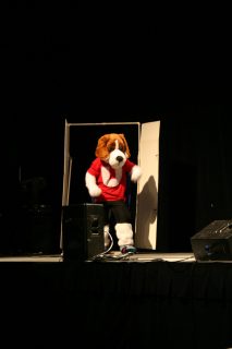 IMG_8504.jpg