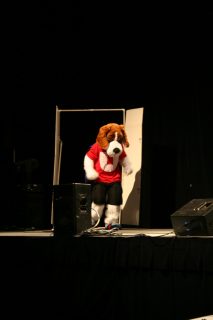 IMG_8505.jpg