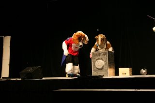 IMG_8514.jpg