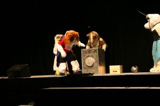 IMG_8515.jpg