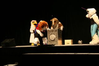 IMG_8516.jpg