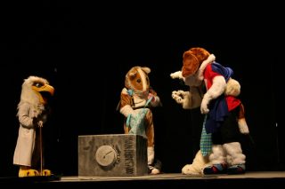 IMG_8560.jpg