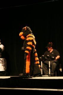 IMG_8593.jpg