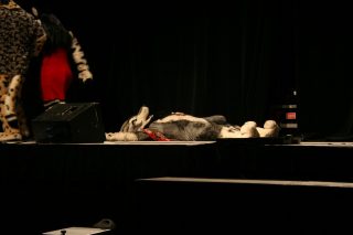 IMG_8854.jpg