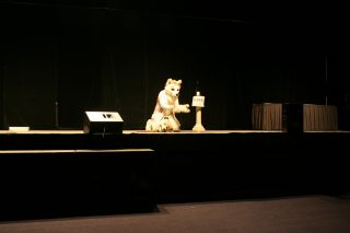 IMG_8942.jpg