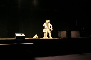 IMG_8956.jpg