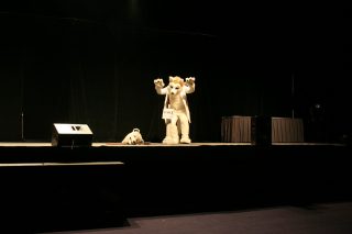 IMG_8959.jpg