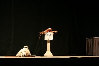 IMG_8970.jpg