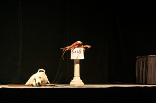 IMG_8971.jpg