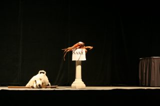 IMG_8972.jpg