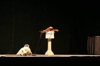 IMG_8973.jpg